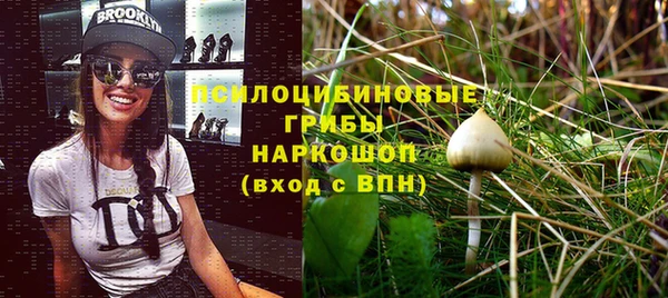 дурь Балахна