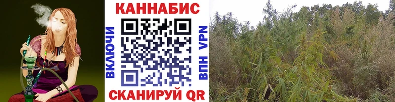 Шишки марихуана THC 21%  Верхнеуральск 